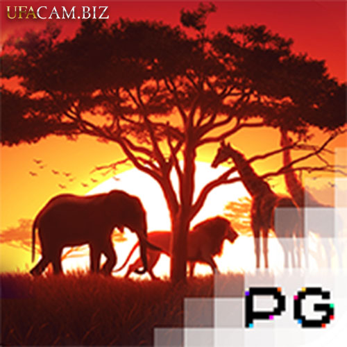 รีวิวเกมสล็อต Safari Wilds ซาฟารีไวลด์ สล็อต ค่ายเกม PG SLOT