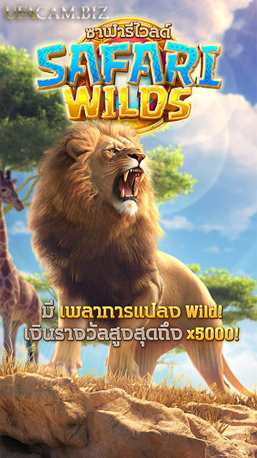 ข้อมูลเกี่ยวกับเกมสล็อต Safari Wilds บนเว็บสล็อต UFACAM